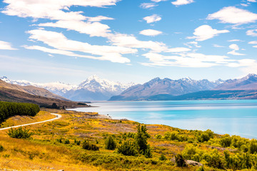 ニュージーランドの道