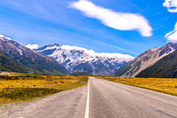 Fototapeta na wymiar ニュージーランドの道