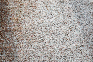 Texture of Carpet Rug
