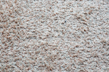 Texture of Carpet Rug