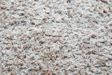 Texture of Carpet Rug