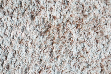 Texture of Carpet Rug