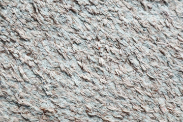 Texture of Carpet Rug