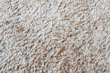 Texture of Carpet Rug