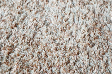 Texture of Carpet Rug