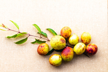 Hancornia speciosa (Mangaba fruit)