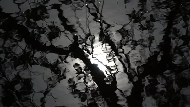 Abstract water background, reflection of the sun, ripples and reflections of dark tree and branches silhouetted in moving water. Moon reflected in dark water. 
