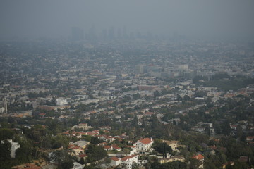 los angeles con bruma 2