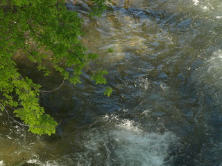 Au fil de l'eau