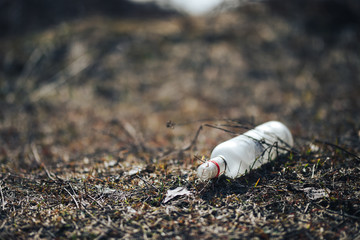 Empty white glass bottle lying on grass in early spring, polluted, conservancy. rubbish after last snows of winter