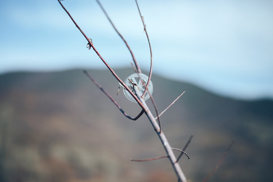 plastic spool rubbish on branch of tree on nature background. pollution, disposal of plastic rabbish