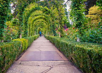 garden path with trestle 