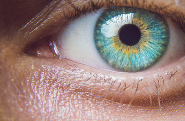 Oeil