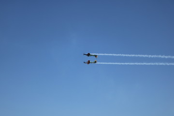 Esquadrilha da Fumaça - Brasil / Aerial Demonstration Squadron - Brazil  - Smoke Squadron