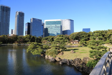 Fototapeta premium view of city