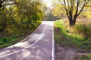 walkway road through the autumn park. seasonal, background