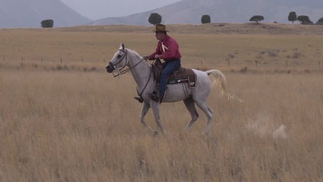 Slow Motion Old West Cowboy Pony Express Rider on Horse