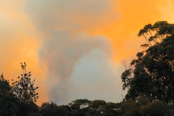 Organised Fire Service back burning to prevent bush fires in the mountains.