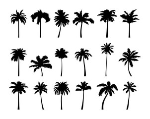 Coconut palm tree silhouette icon set.