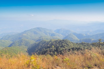 Obraz premium Mountain view morning on top of Doi Ang Khang above many hills and green forest cover with soft mist and blue sky background, Doi Angkhang, Chiang Mai, northern of Thailand.