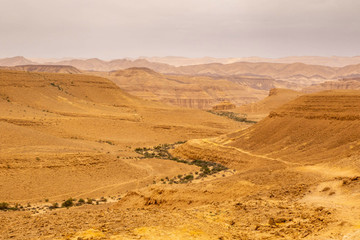 Negev Desert, Israel