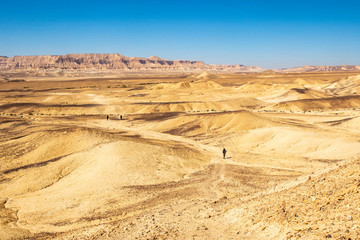 Negev Desert, Israel - obrazy, fototapety, plakaty