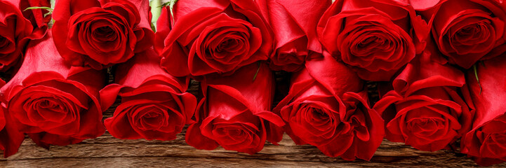 Red roses panorama.