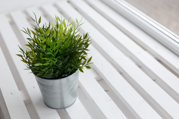 Fresh green plant in a small decorative metal bucket on a white wooden windowsill with a copyspace for a text.