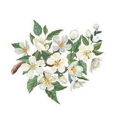 Apple blossom watercolor set