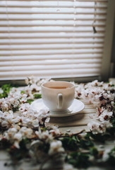 A cup of tea is on the table surrounded by apricot flowers against the window with the blinds.