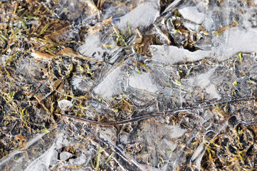 Dry grass under the ice in the spring forest. Abstract natural background