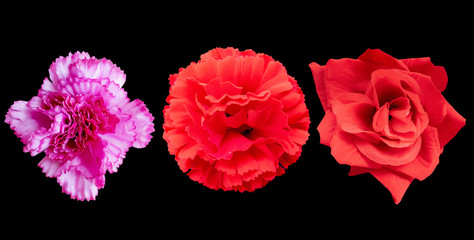 three exotic flowers bouquet isolated