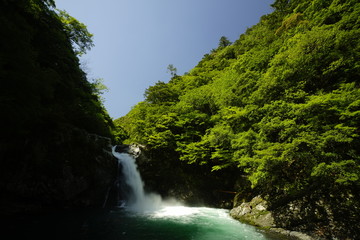 清納の滝　新緑鮮やかな頃