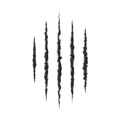 Torn paper edge. Scary leceration paper surface. Wild animal claws scratch texture. Demage from claws bear or tiger. Isolated vector illustration