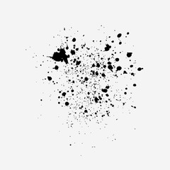 Black ink splash isolated on white backround. Vector.