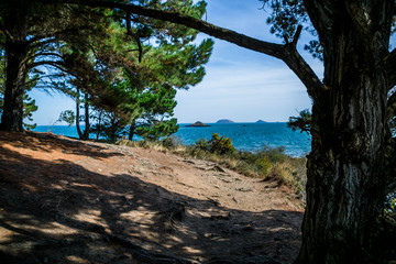Paimpol, Côtes-d'Armor.