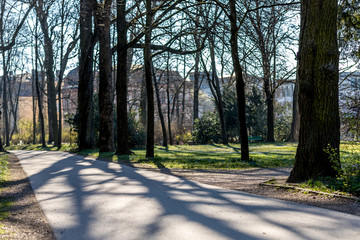 Park in Regensburg