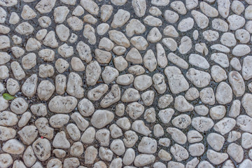 Closeup of a White Stone Sidewalk for Backgrounds