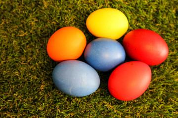 Fototapeta na wymiar six colorful easter eggs in green grass