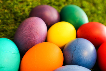 Fototapeta na wymiar several colorful easter eggs on the green grass background closeup