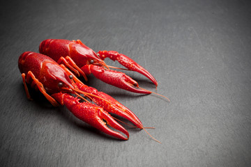 Red cooked lobster on black slate table
