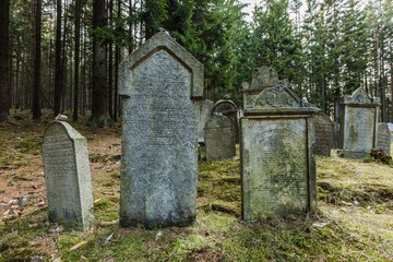 Fototapeta premium Pansky Vrch, Czech Republic / Europe - April 1 2019: Grey tombstones with Hebrew letters on an old Jewish cemetery placed in the woods close to Drmoul, surrounded with trees, green grass