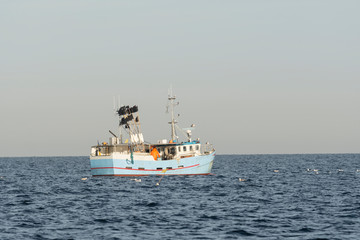 Fototapeta na wymiar Fishing boat surrounded by seagulls