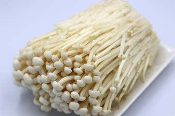 えのき茸のブツ撮り