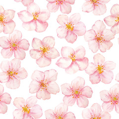 Vector watercolor sakura flowers pattern on white background. Collection sakura flowers.