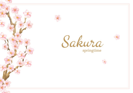 Vector Hand painted card with sakura flowers and branches. Watercolor illustration isolated on white background.