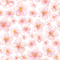 Vector watercolor sakura flowers pattern on white background. Collection sakura flowers.
