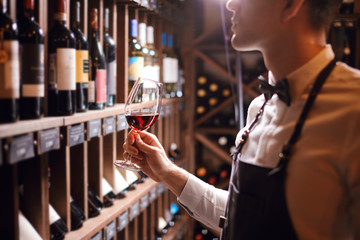 tasting experience in hotel or restaurant. Professional guy or sommelier holding glass of delicious red wine appreciting his tint with bottles collection on the background - obrazy, fototapety, plakaty