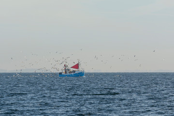 Fishing boat surrounded by seagulls