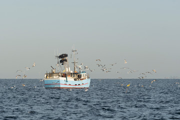 Fishing boat surrounded by seagulls